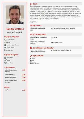 Havacılık Ve Uzay Uçak Mühendisi Cv Örnekleri cv indir